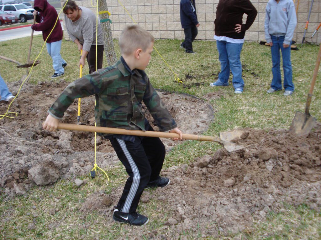 Everyone can get in on tree planting!