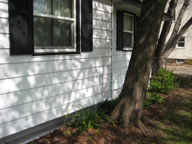 Planting too Close to the House